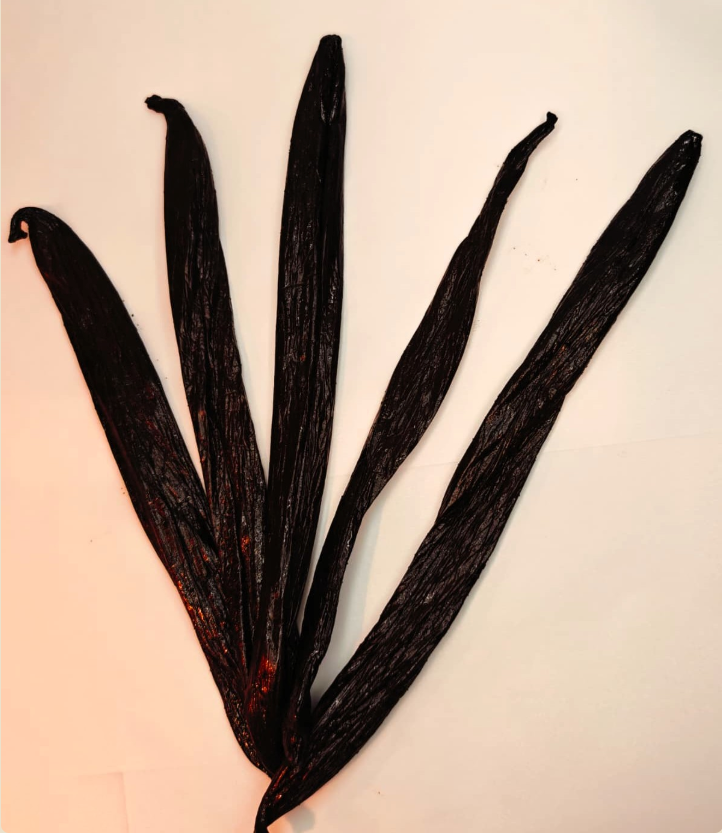 Vanille Pompona Schoten aus Madagaskar – Gourmet Vanille